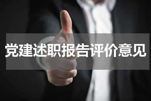 党建述职报告评价意见