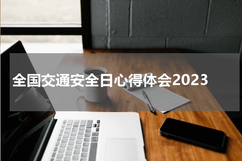 全国交通安全日心得体会2023