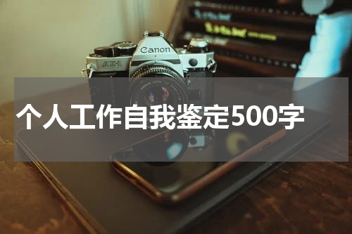 个人工作自我鉴定500字