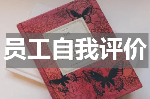 员工自我评价