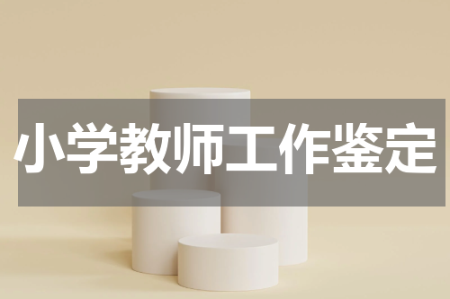 小学教师工作鉴定