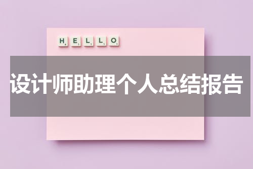 设计师助理个人总结报告