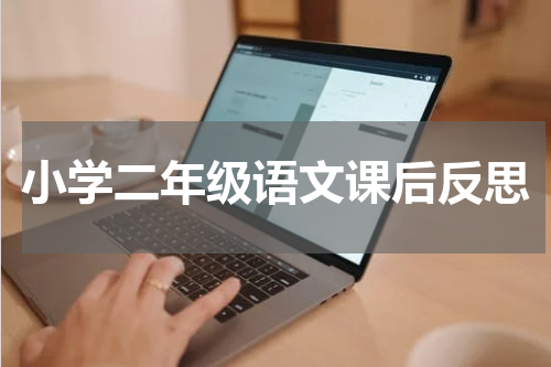 小学二年级语文课后反思