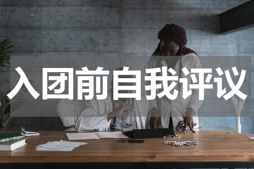 入团前自我评议