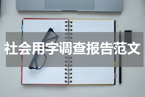 社会用字调查报告范文