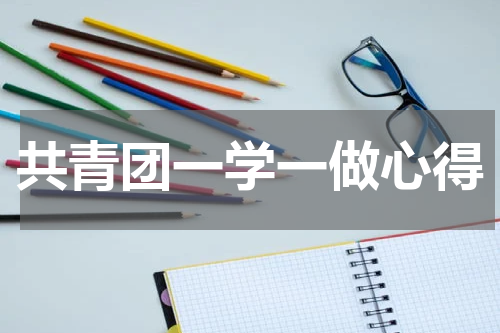 共青团一学一做心得