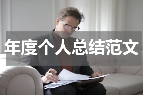 年度个人总结范文