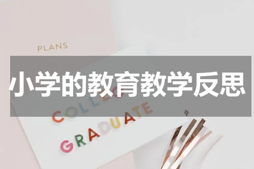 小学的教育教学反思
