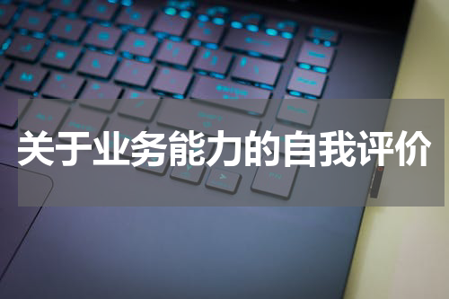 关于业务能力的自我评价