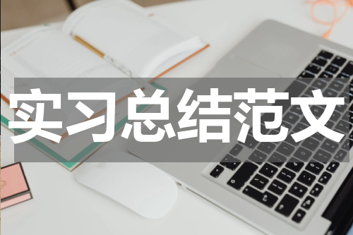 实习总结范文