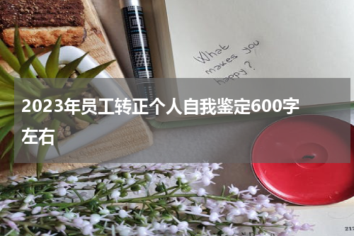 2023年员工转正个人自我鉴定600字左右