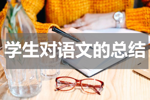 学生对语文的总结