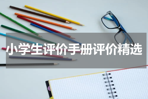小学生评价手册评价精选