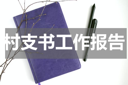 村支书工作报告
