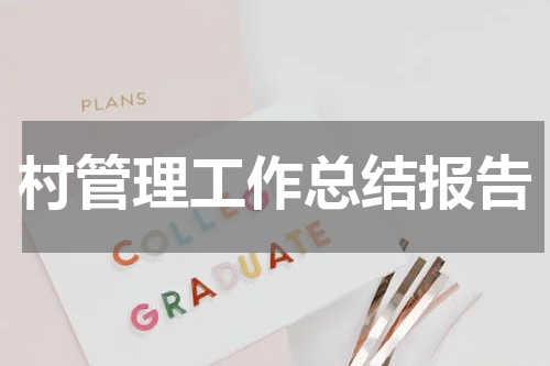 村管理工作总结报告