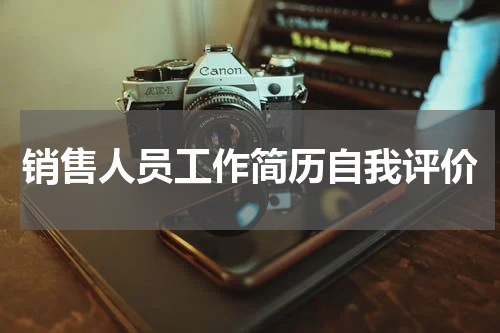销售人员工作简历自我评价