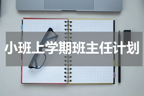 小班上学期班主任计划