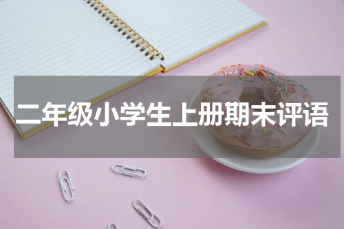 二年级小学生上册期末评语