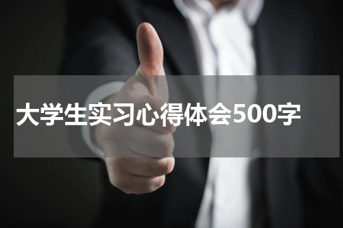 大学生实习心得体会500字