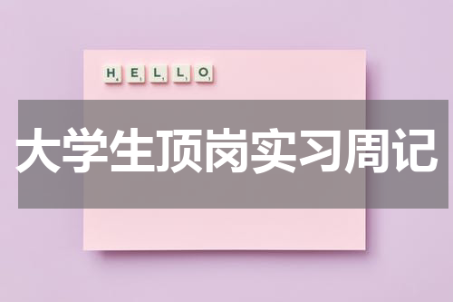 大学生顶岗实习周记