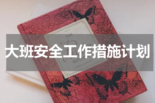 大班安全工作措施计划