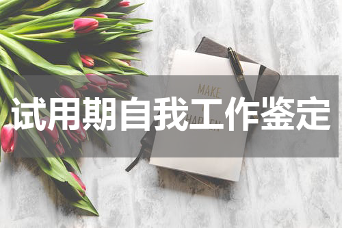 试用期自我工作鉴定