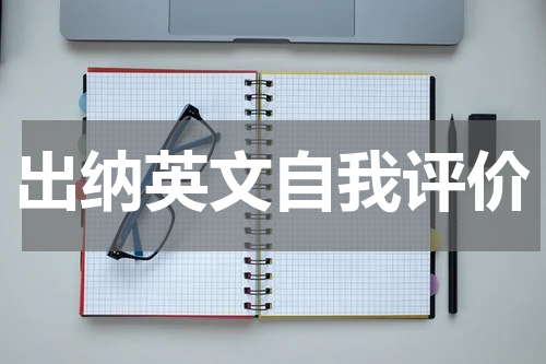 出纳英文自我评价
