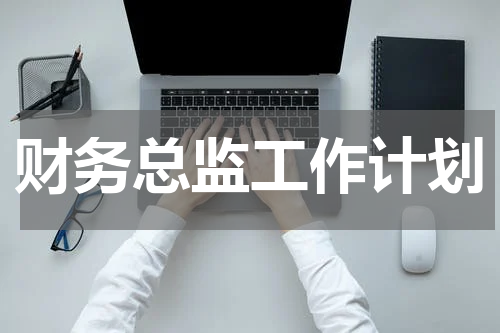 财务总监工作计划