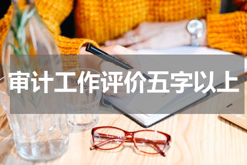审计工作评价五字以上