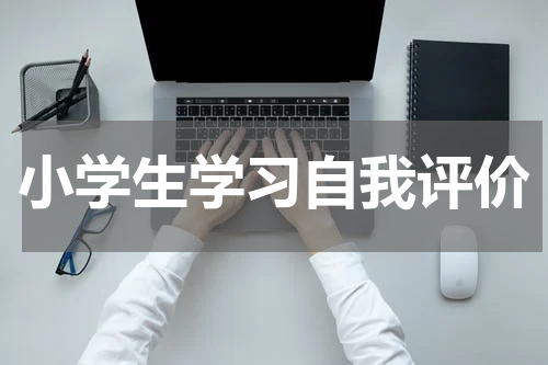 小学生学习自我评价