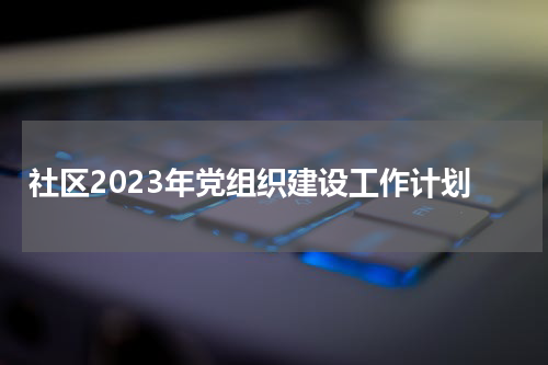 社区2023年党组织建设工作计划
