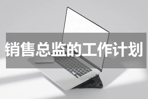 销售总监的工作计划
