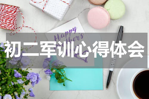 初二军训心得体会