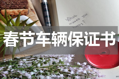 春节车辆保证书
