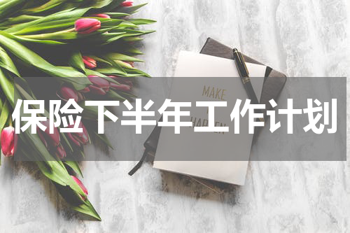 保险下半年工作计划