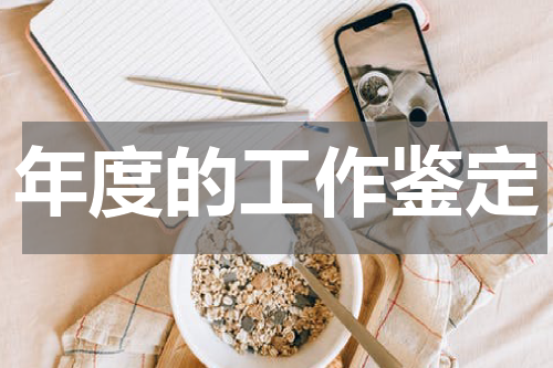 年度的工作鉴定