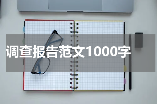调查报告范文1000字