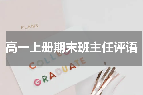 高一上册期末班主任评语
