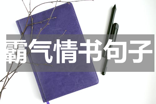 霸气情书句子