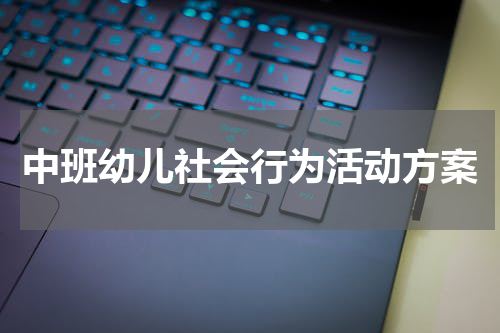 中班幼儿社会行为活动方案