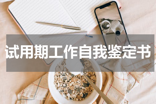 试用期工作自我鉴定书