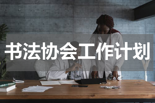 书法协会工作计划