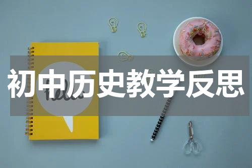 初中历史教学反思