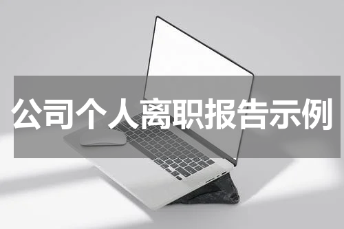 公司个人离职报告示例
