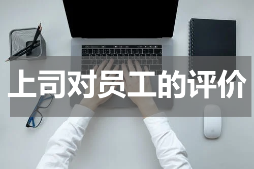上司对员工的评价