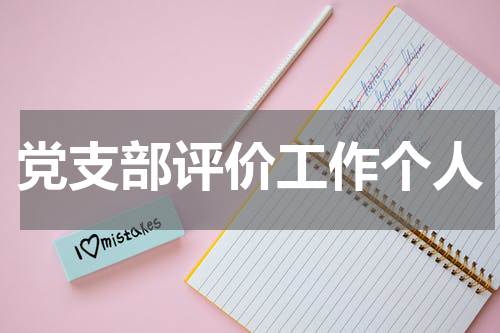党支部评价工作个人