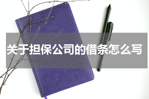 关于担保公司的借条怎么写