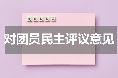 对团员民主评议意见