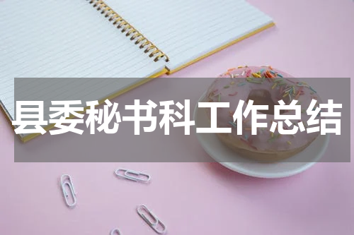 县委秘书科工作总结