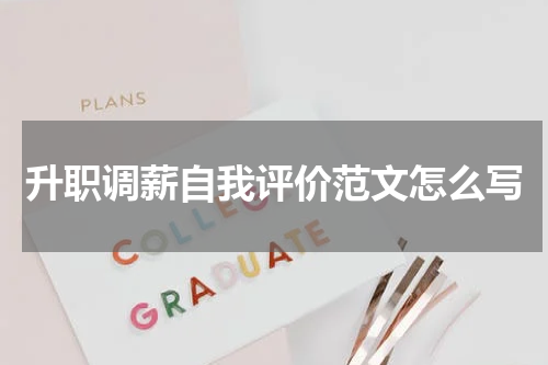 升职调薪自我评价范文怎么写